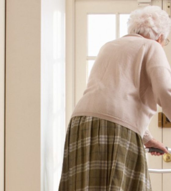 O que é osteofitose ou “bico-de-papagaio”